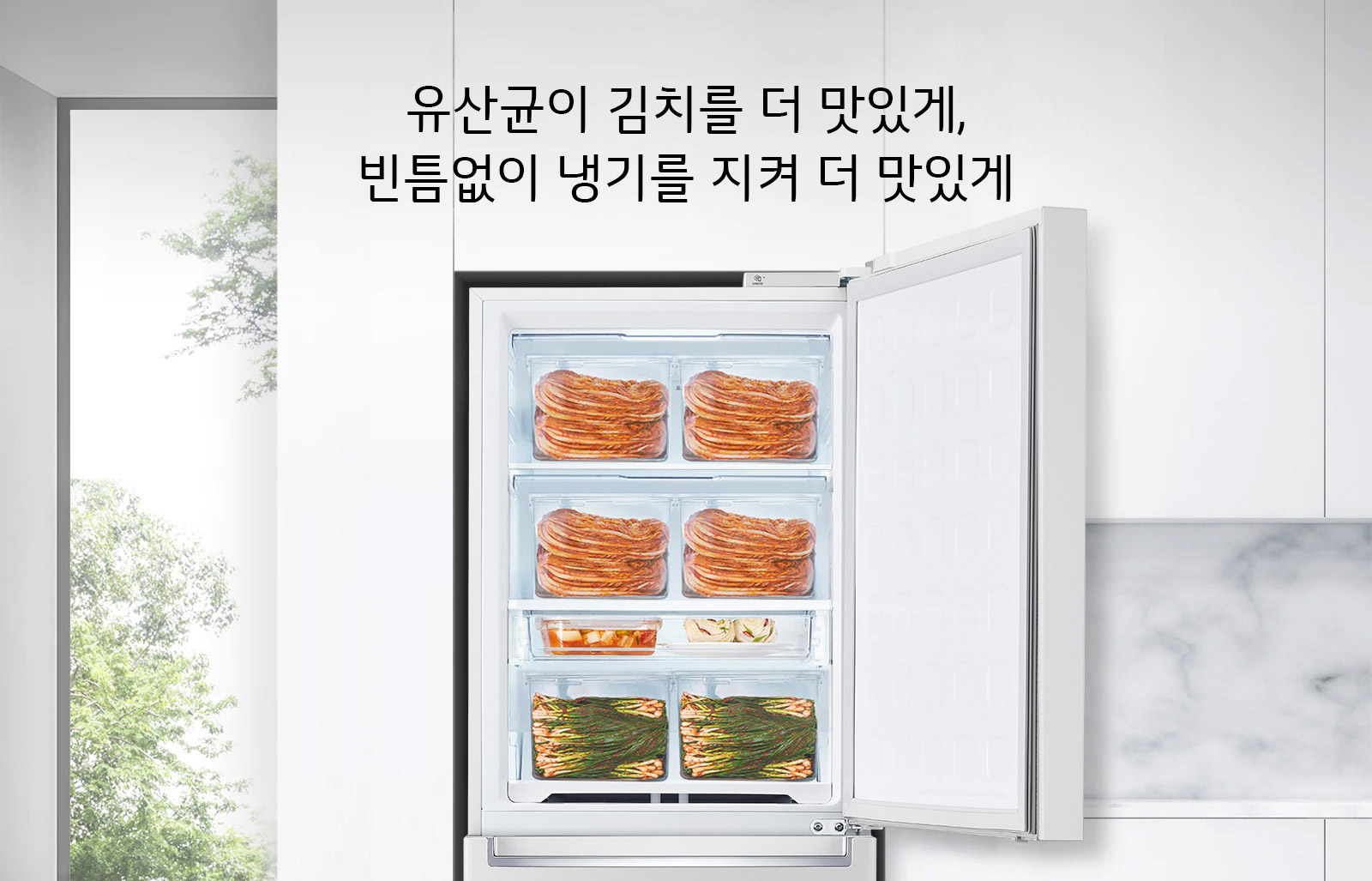 유산균이 김치를 더 맛있게, 빈틈없이 냉기를 지켜 더 맛있게