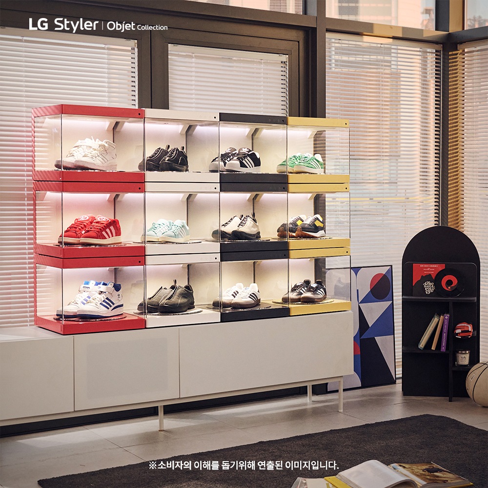 Shoecase_2