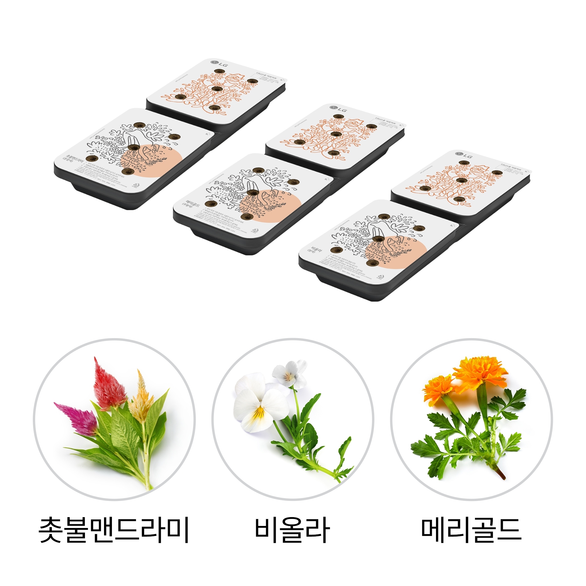 식물생활가전 LG 틔운용 씨앗키트 패키지 (화훼류)  (LPF02.AKOR) 줌이미지 1