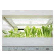 식물생활가전 LG 틔운 오브제컬렉션 (L061E1PN.AKOR) 썸네일이미지 15