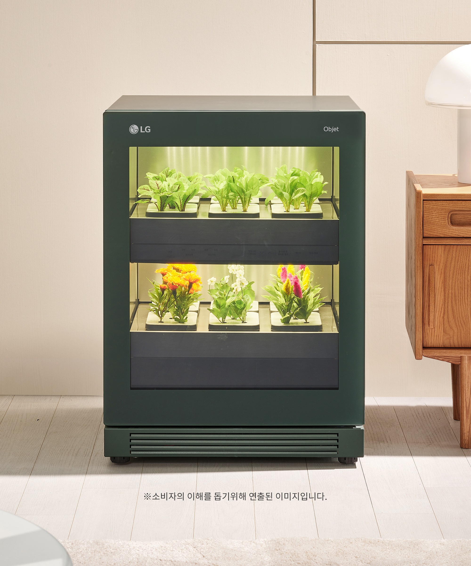 식물생활가전 LG 틔운 오브제컬렉션 (L061G1PN.AKOR) 메인이미지 0