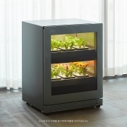 식물생활가전 LG 틔운 오브제컬렉션 (L061G1PN.AKOR) 썸네일이미지 2