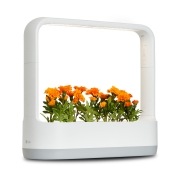 식물생활가전 LG 틔운 미니 (L011W1.AKOR) 썸네일이미지 1