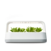 식물생활가전 LG 틔운 미니 (L011W1.AKOR) 썸네일이미지 4