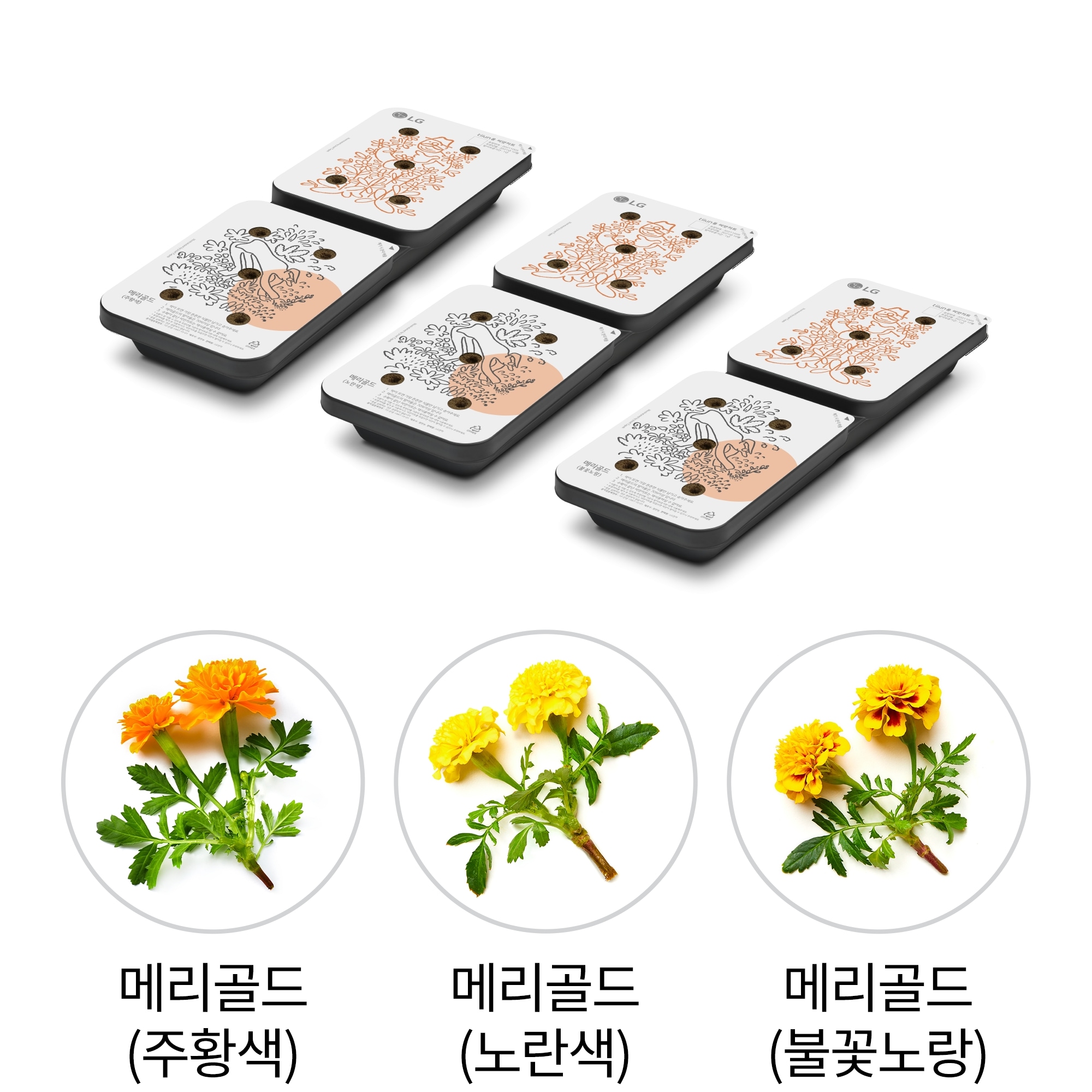식물생활가전 LG 틔운용 씨앗키트 패키지(화훼류) (LPF03.AKOR) 줌이미지 1
