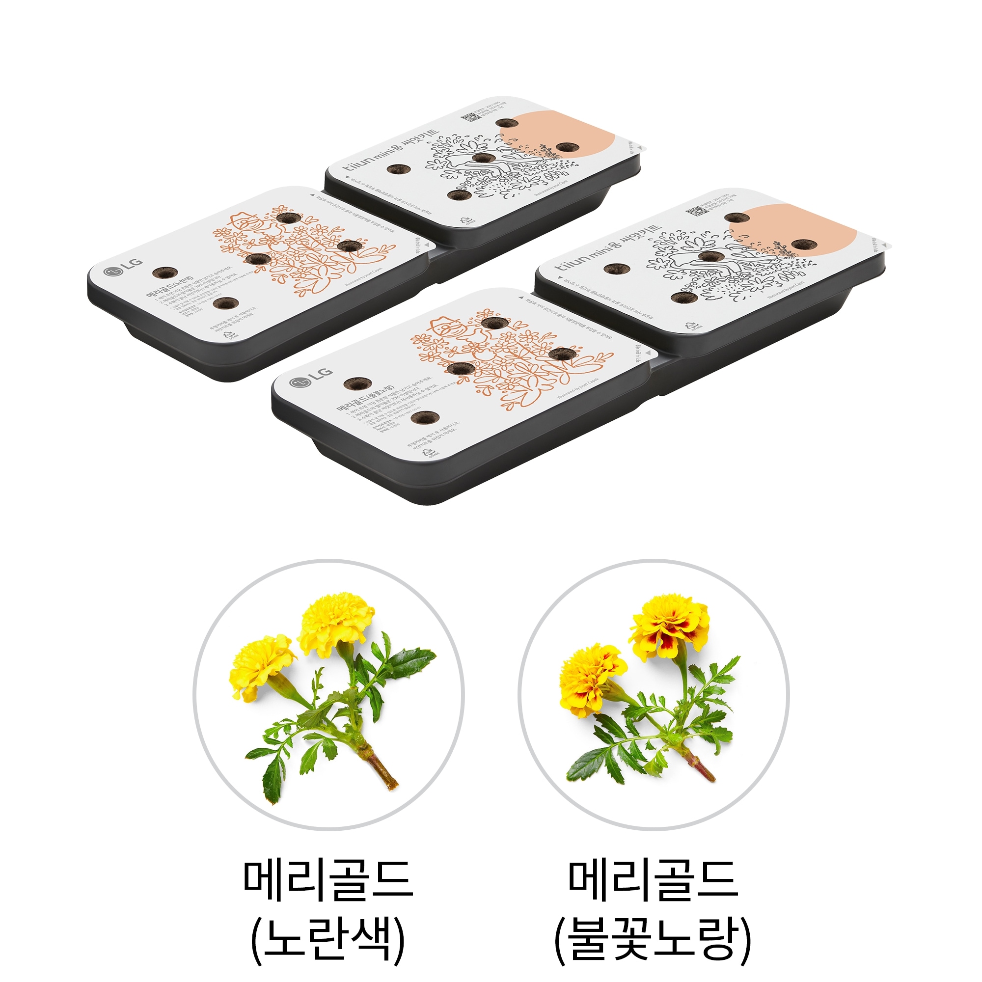 식물생활가전 LG 틔운 미니용 씨앗키트 패키지 (어여쁘고 소중한 패키지 B) (LPM04.AKOR) 줌이미지 0