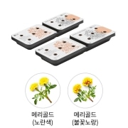 식물생활가전 LG 틔운 미니용 씨앗키트 패키지 (어여쁘고 소중한 패키지 B) (LPM04.AKOR) 썸네일이미지 0
