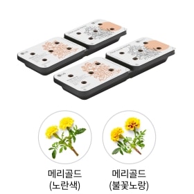 식물생활가전 LG 틔운 미니용 씨앗키트 패키지 (어여쁘고 소중한 패키지 B) (LPM04.AKOR) 썸네일