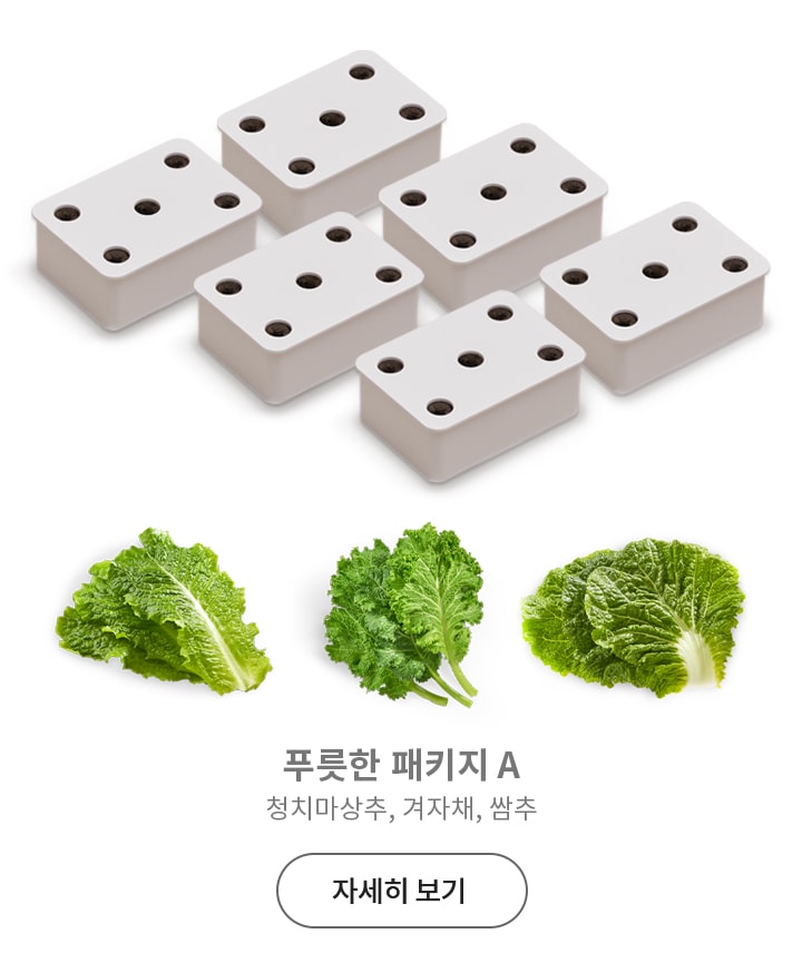 여러_개의_흰색_직사각형_상자가_배열되어_있으며,_각_상자에는_여러_개의_구멍이_있습니다._아래에는_청치마상추,_겨자채,_쌈추가_나란히_놓여_있습니다._텍스트로는_푸릇한_패키지_a_청치마상추,_겨자채,_쌈추와_자세히_보기가_포함되어_있습니다.