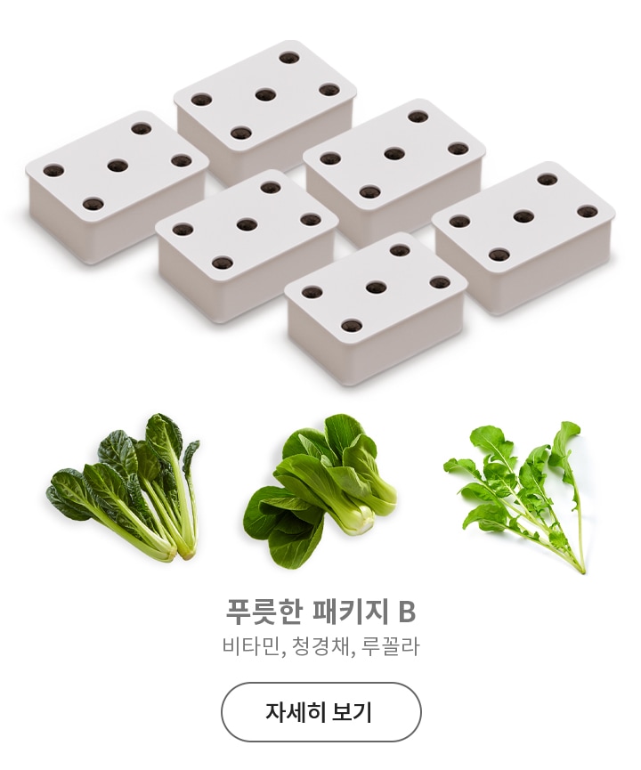 여러_개의_흰색_직사각형_블록이_배열되어_있으며,_각_블록에는_검은색_원형_구멍이_있습니다._아래에는_세_종류의_채소가_나열되어_있으며,_각각_비타민,_청경채,_루꼴라입니다._텍스트로_푸릇한_패키지_b와_자세히_보기_버튼이_포함되어_있습니다.