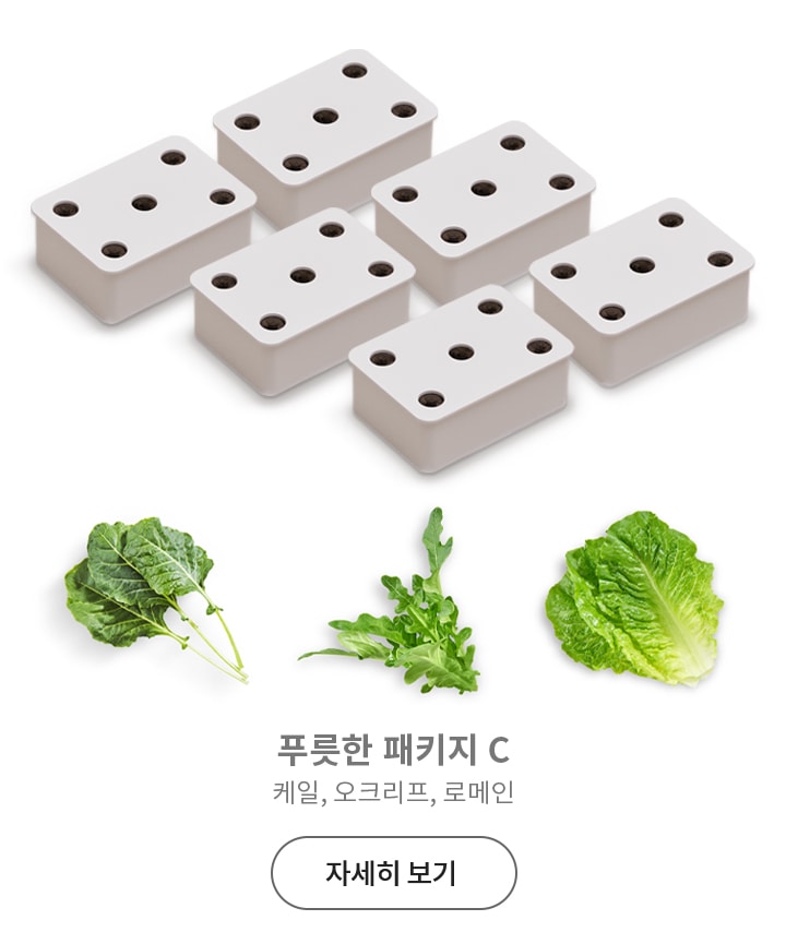 여러_개의_흰색_직사각형_블록이_배열되어_있으며,_각_블록에는_구멍이_뚫려_있습니다._아래에는_케일,_오크리프,_로메인으로_보이는_세_종류의_녹색_잎채소가_나열되어_있습니다._텍스트로는_푸릇한_패키지_c_케일,_오크리프,_로메인과_자세히_보기_버튼이_포함되어_있습니다.