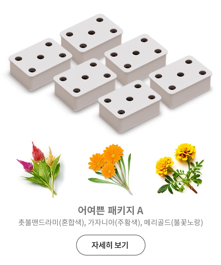 여러_개의_작은_흰색_직사각형_상자가_배열되어_있으며,_각_상자에는_구멍이_뚫려_있습니다._아래에는_다양한_색상의_꽃들이_나란히_배치되어_있고,_그_아래에_어여쁜_패키지_a라는_문구와_함께_촛불맨드라미(혼합색),_가자니아(주황색),_메리골드(불꽃노랑)라는_설명이_있습니다._하단에는_자세히_보기_버튼이_있습니다.