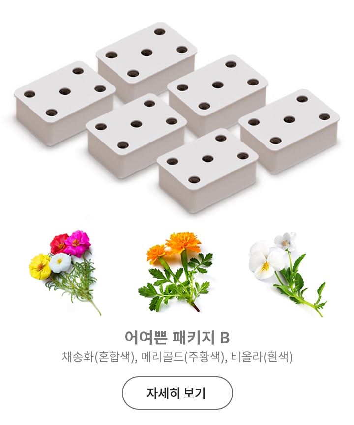 여섯_개의_흰색_직사각형_블록이_있으며,_각_블록에는_다섯_개의_구멍이_있습니다._아래에는_다양한_색상의_꽃들이_배열되어_있으며,_각각_채송화(혼합색),_메리골드(주황색),_비올라(흰색)로_표시되어_있습니다._텍스트로_어여쁜_패키지_b와_자세히_보기가_포함되어_있습니다.