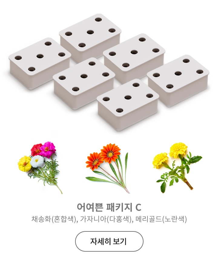 여러_개의_흰색_직사각형_화분이_배치되어_있으며,_아래에는_다양한_색상의_꽃들이_나열되어_있습니다._텍스트로_어여쁜_패키지_c와_채송화(혼합색),_가자니아(다홍색),_메리골드(노란색)가_적혀_있고,_자세히_보기_버튼이_있습니다.