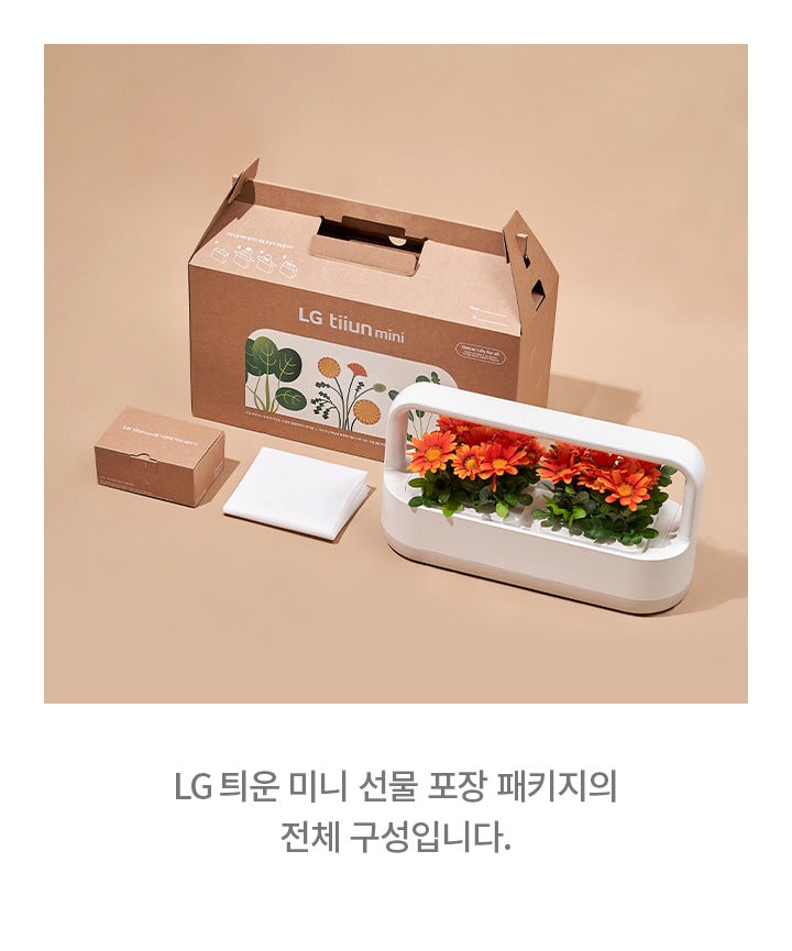 lg_틔운_미니_선물_포장_패키지의_전체_구성입니다._갈색_상자에_lg_tiiun_mini라고_적혀_있으며,_상자_옆에는_흰색_천과_작은_상자가_놓여_있습니다._흰색_프레임_안에는_주황색_꽃이_심어져_있습니다.