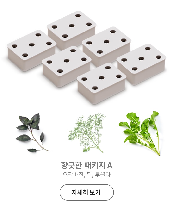 여러_개의_흰색_직사각형_모양의_블록이_배열되어_있으며,_각각의_블록에는_작은_구멍이_뚫려_있습니다._아래에는_세_가지_허브_잎이_나란히_배치되어_있으며,_각각_오팔바질,_딜,_루꼴라입니다._텍스트로_향긋한_패키지_a_오팔바질,_딜,_루꼴라가_적혀_있고,_자세히_보기_버튼이_있습니다.