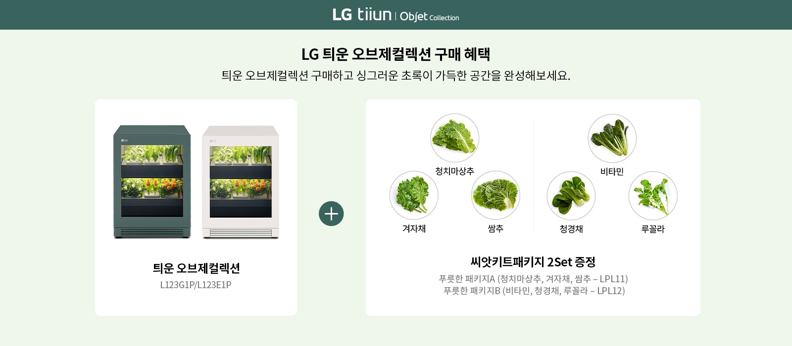 LG 틔운 오브제컬렉션 구매 혜택에 대한 이미지입니다. 두 개의 틔운 오브제컬렉션 제품이 나란히 있으며, 모델명은 L123G1P와 L123E1P입니다. 구매 시 씨앗키트패키지 2세트를 증정하며, 포함된 씨앗은 푸릇한 패키지A(청치마상추, 겨자채, 쌈추 - LPL11)와 푸릇한 패키지B(비타민, 청경채, 루꼴라 - LPL12)입니다. 각 채소의 이미지는 원형으로 표시되어 있습니다.
