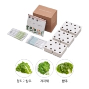식물생활가전 LG 틔운용 씨앗키트 패키지 (푸릇한 패키지 A) (LPL11.AKOR) 썸네일이미지 1