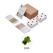 식물생활가전 LG 틔운 미니용 씨앗키트 패키지 (청경채) (LPM13.AKOR) 썸네일이미지 1