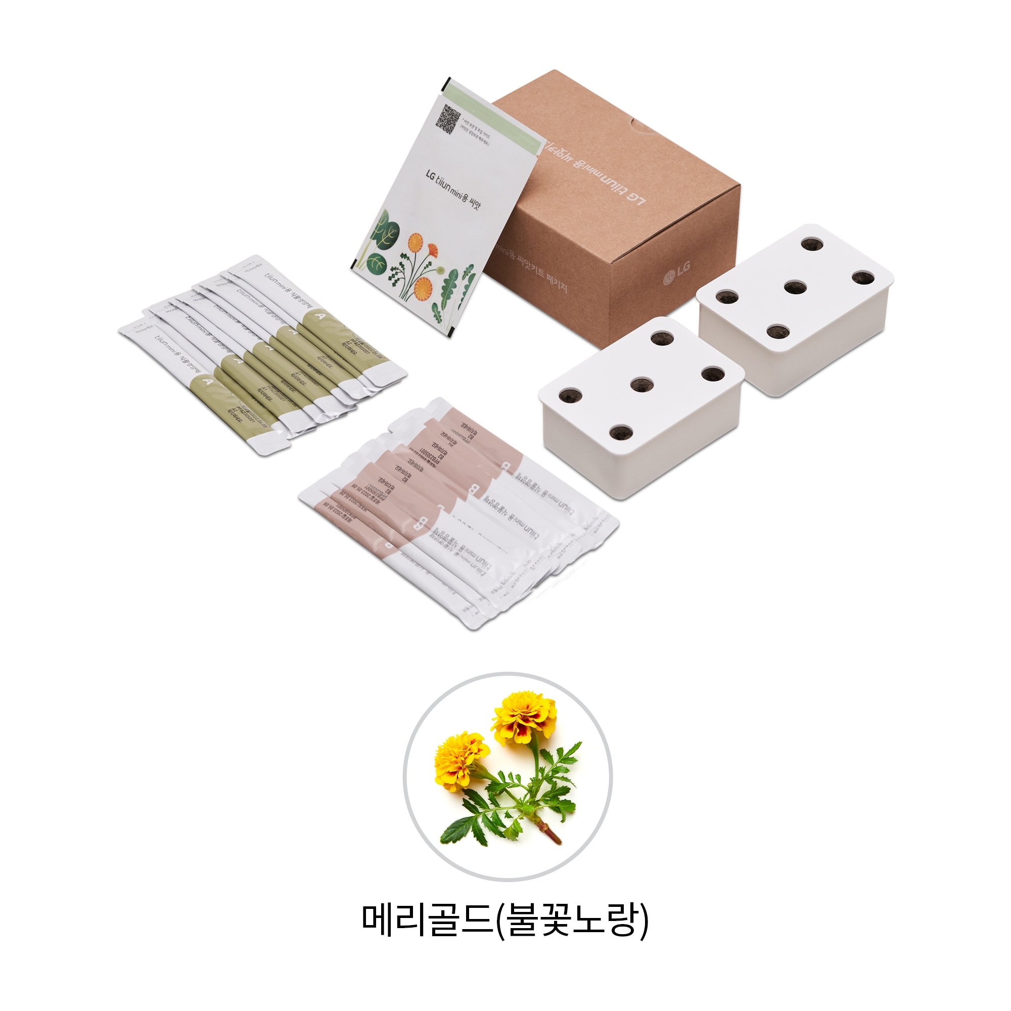 식물생활가전 LG 틔운 미니용 씨앗키트 패키지 (메리골드 불꽃노랑) (LPM17.AKOR) 줌이미지 0