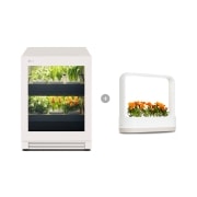 식물생활가전 LG 틔운 오브제컬렉션 + LG 틔운 미니 (L123E1PM.AKOR) 썸네일이미지 1