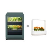 식물생활가전 LG 틔운 오브제컬렉션 + LG 틔운 미니 (L123G1PM.AKOR) 썸네일이미지 1