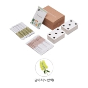 식물생활가전 LG 틔운 미니용 씨앗키트 패키지 (금어초 노란색) (LPM24.AKOR) 썸네일이미지 0