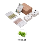식물생활가전 LG 틔운 미니용 씨앗키트 패키지 (버터헤드상추) (LPM33.AKOR) 썸네일이미지 1