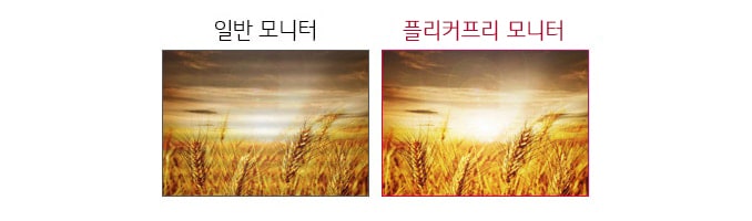 플리커프리1