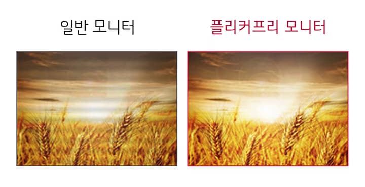플리커프리1
