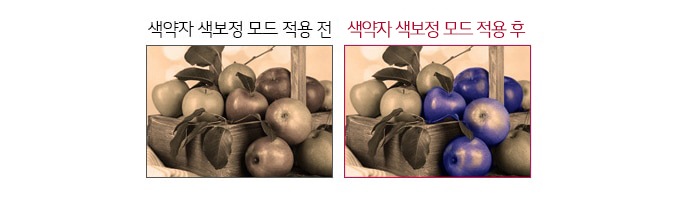 색약자 색보정 모드1
