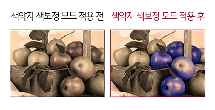 색약자 색보정 모드1
