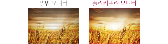 플리커프리1