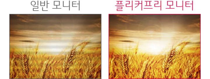 플리커프리1