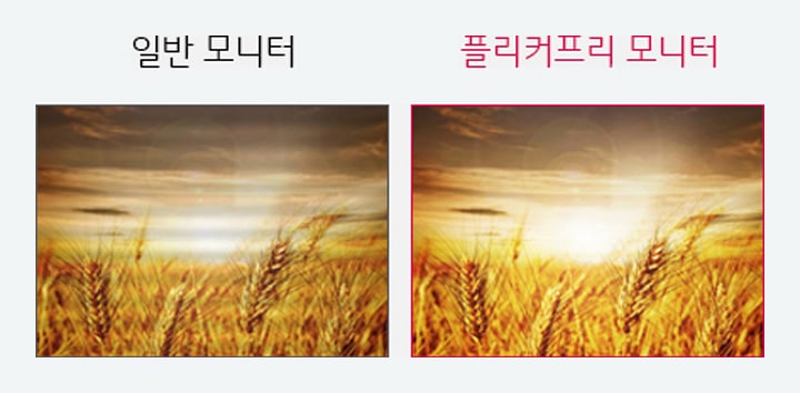 플리커프리2