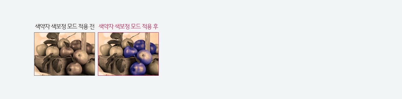 색약자 색보정 모드1