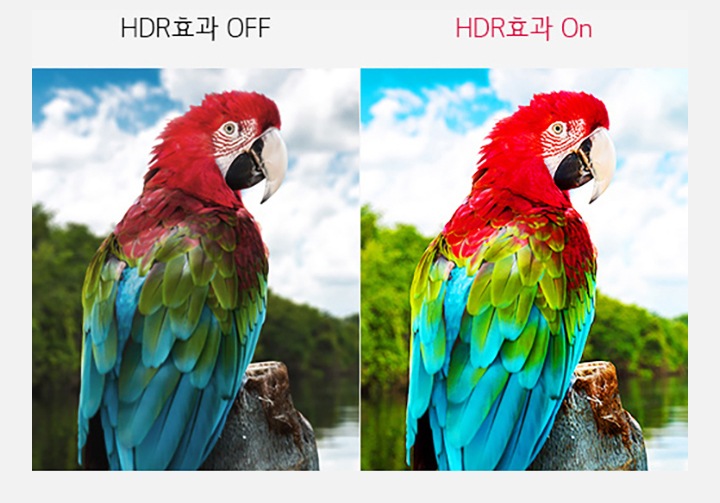 HDR 콘텐츠처럼<br>감상할 수 있는 HDR 효과2