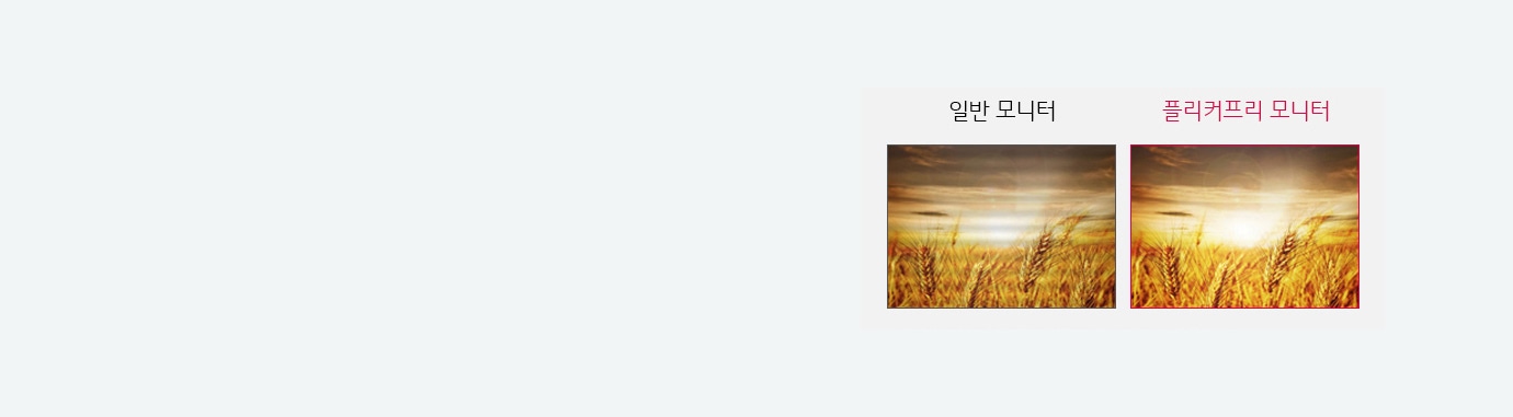 플리커프리1