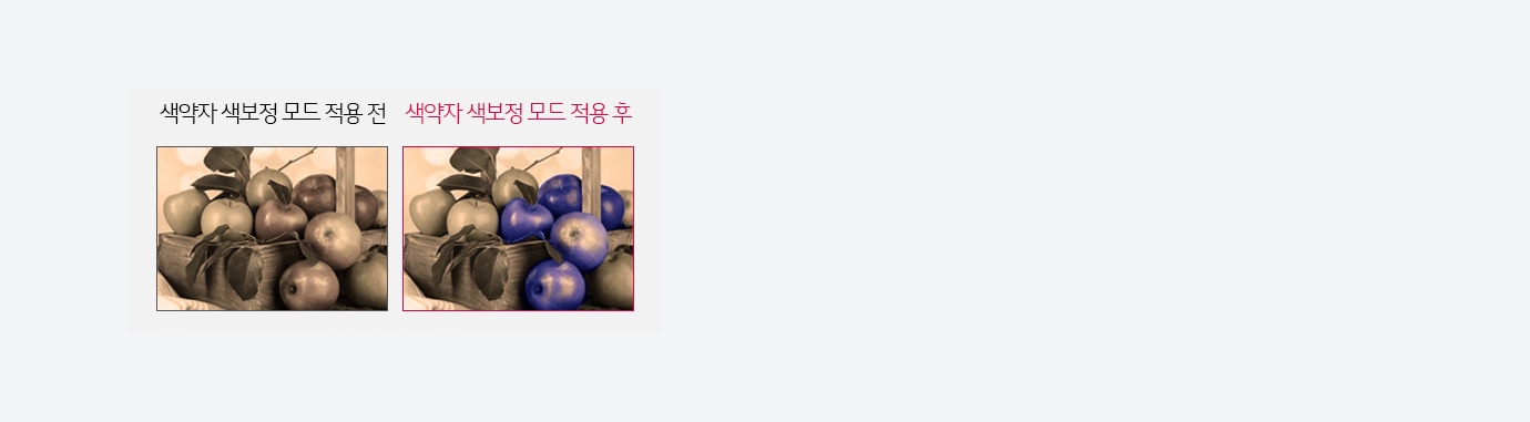 색약자 색보정 모드1