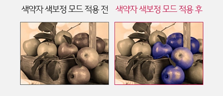 색약자 색보정 모드2