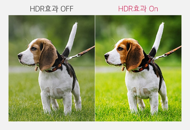 HDR 콘텐츠처럼<br> 감상할 수 있는 HDR 효과2