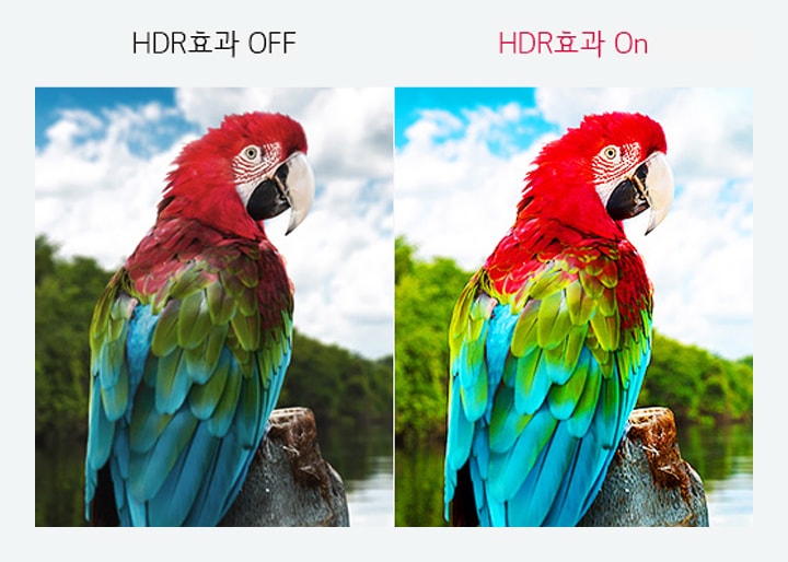 HDR 효과로<br>SDR도 HDR 콘텐츠처럼2