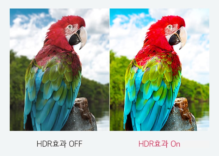 HDR 콘텐츠처럼<br> 감상할 수 있는 HDR 효과2