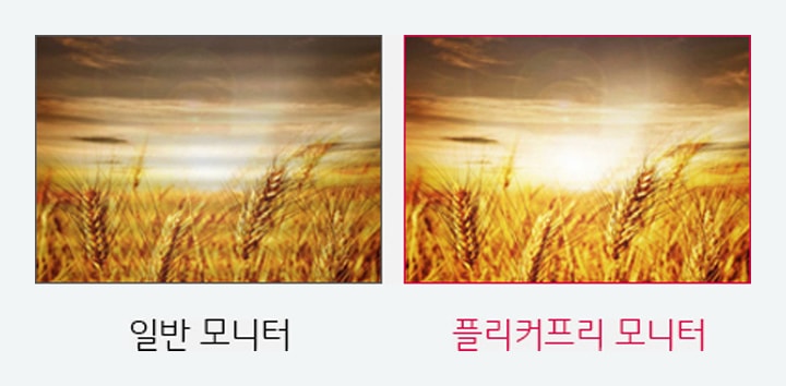 플리커프리2