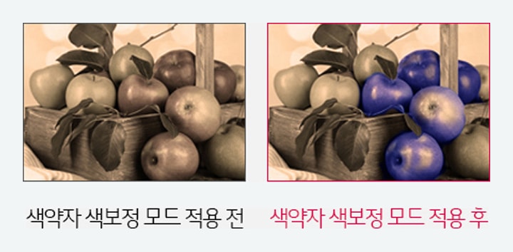 색약자 색보정 모드2