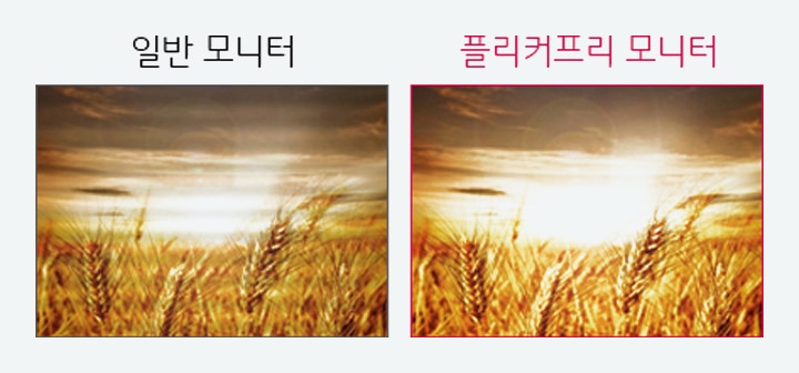  플리커프리2