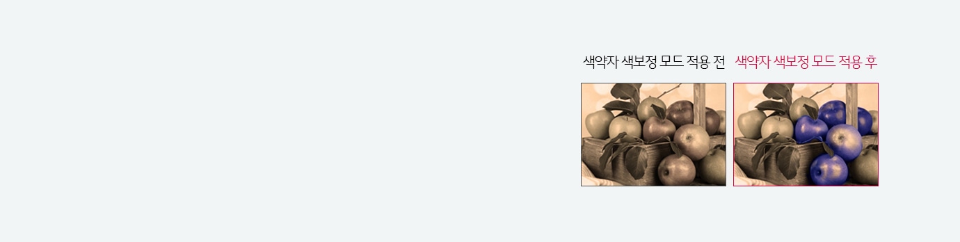 색약자 색보정 모드1