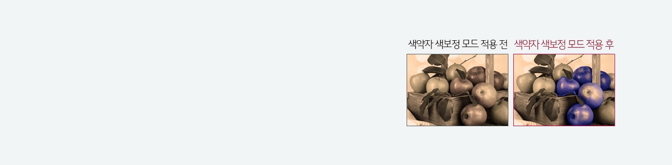 색약자 색보정 모드1