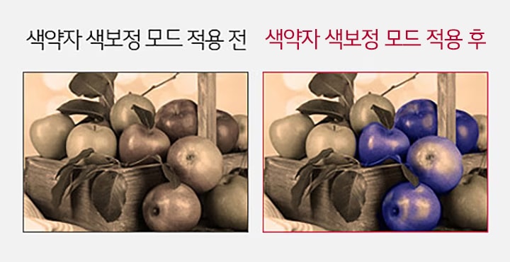 색약자 색보정 모드2
