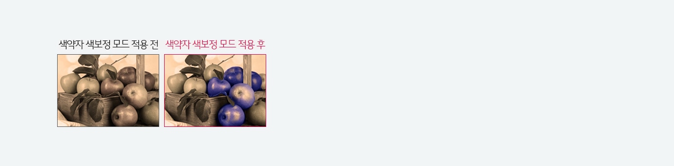 색약자 색보정 모드1